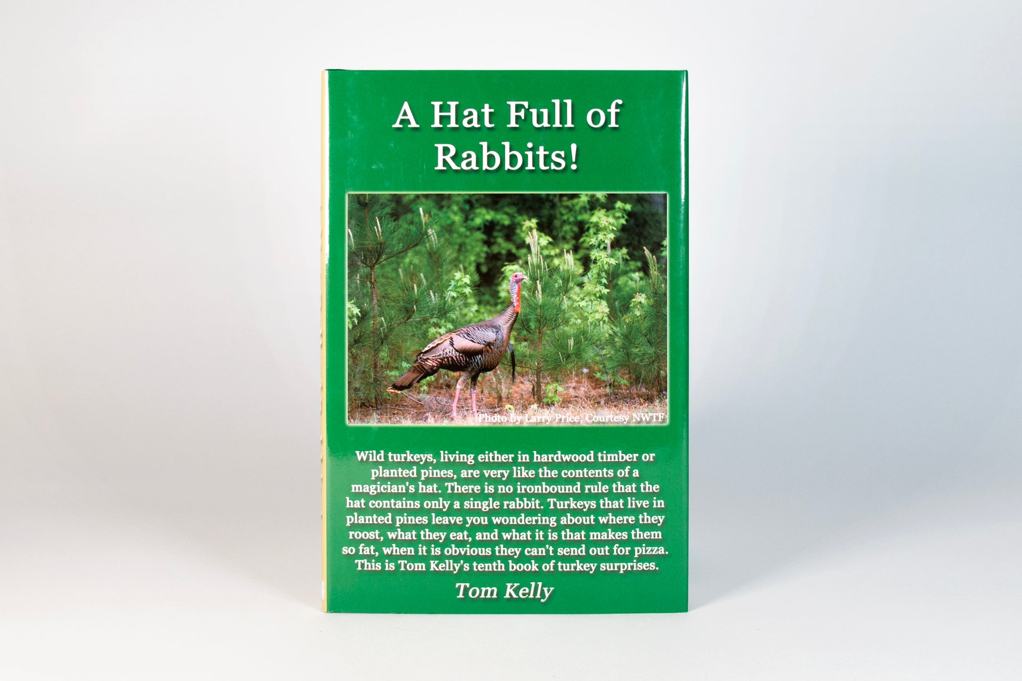 A Hat Full of Rabbits