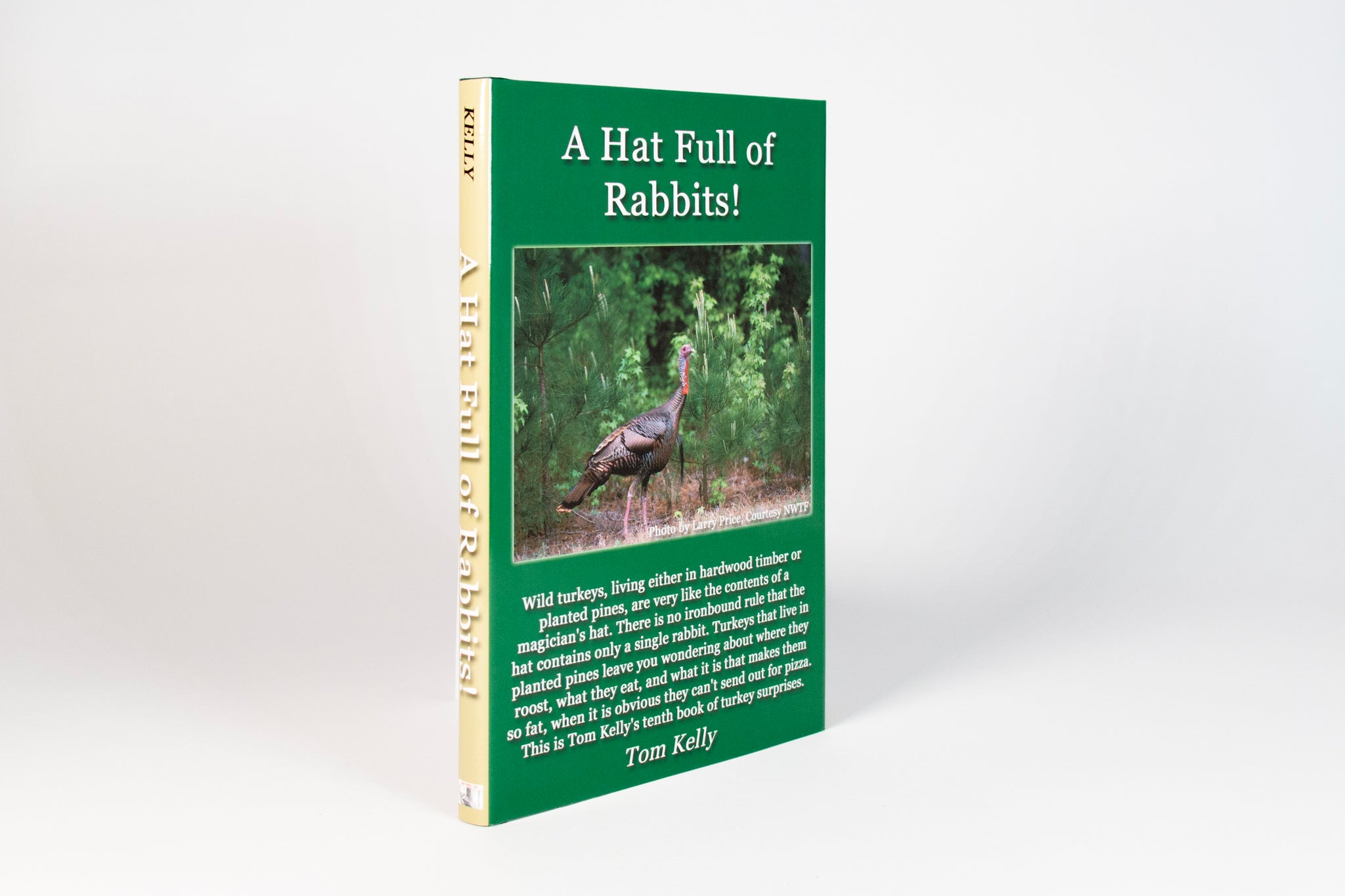 A Hat Full of Rabbits
