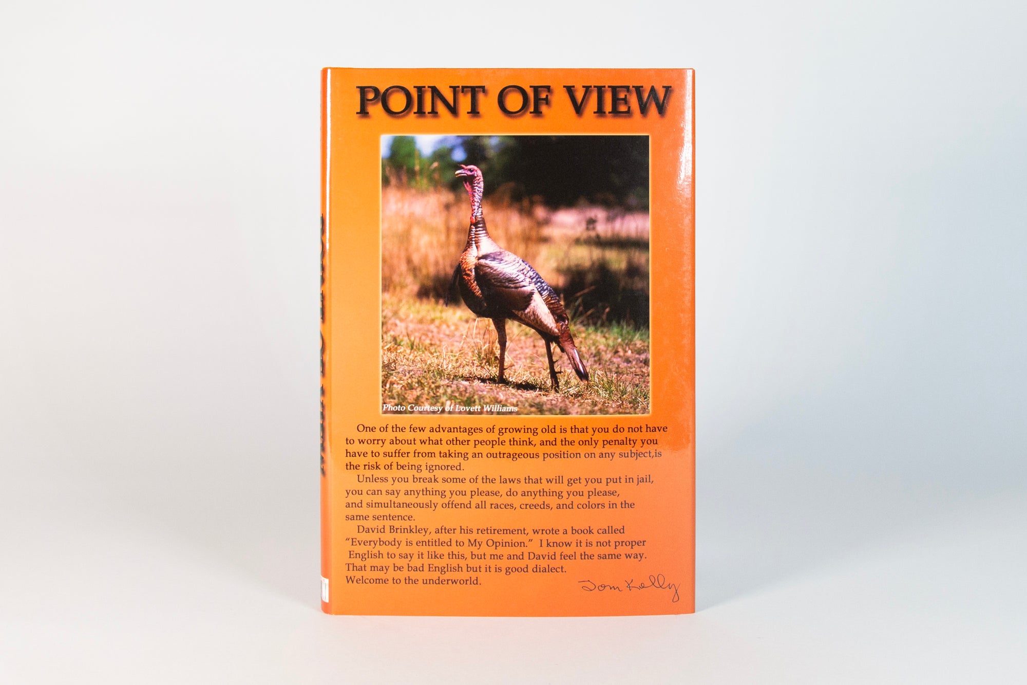 Point of View