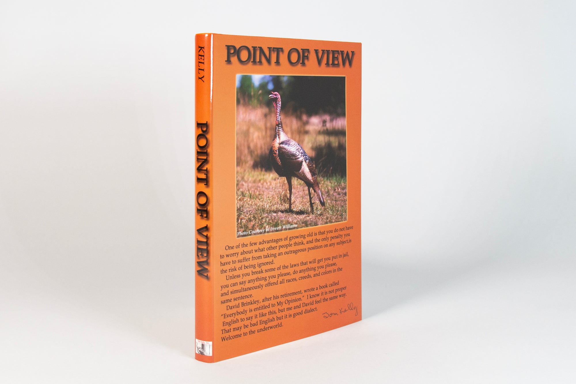 Point of View