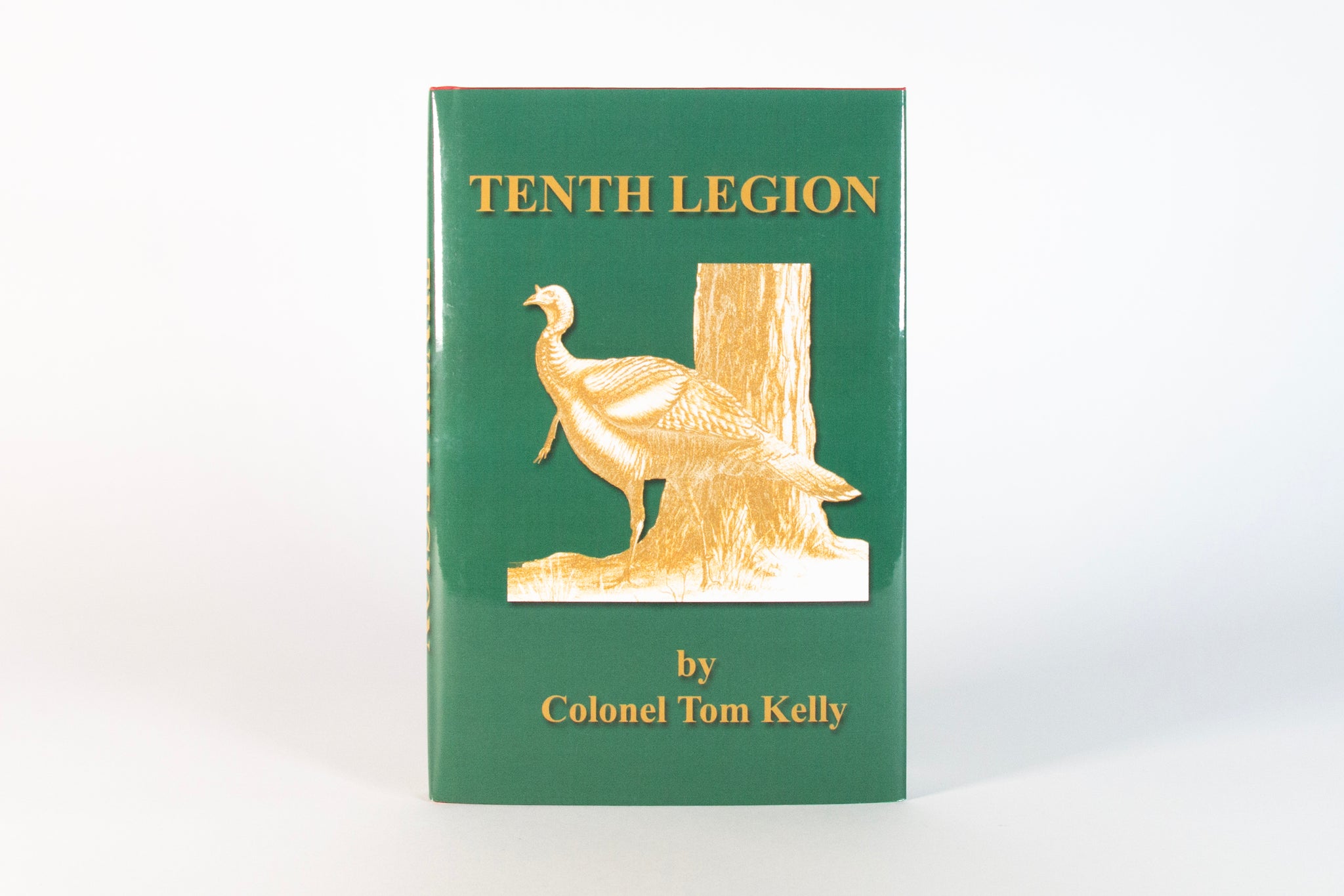 Tenth Legion | Audiobook MP3